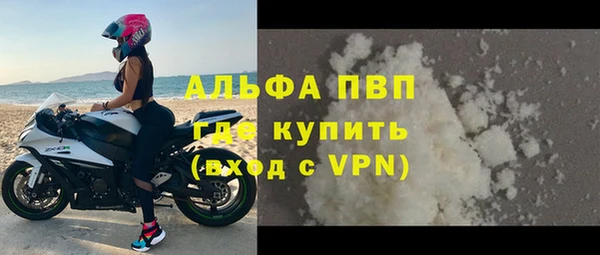 СК Бородино
