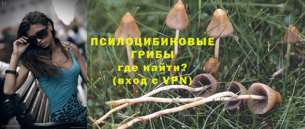 винт Бронницы