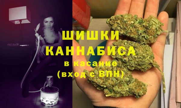 винт Бронницы
