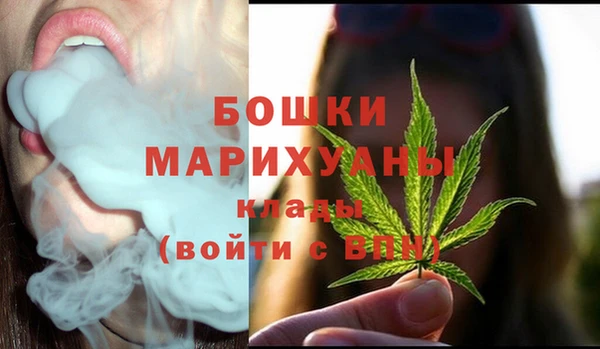 СК Бородино